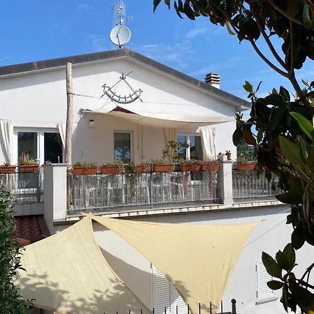 Dama マリーナ・ディ・カンポ