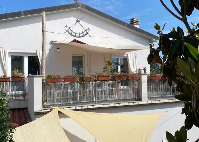 Dama Marina di Campo