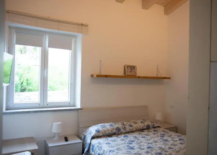 Dama Marina di Campo