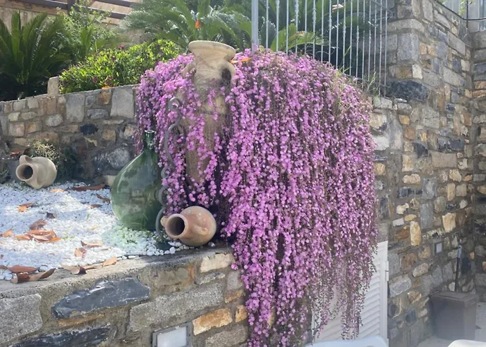 Dama Appartement Marina di Campo